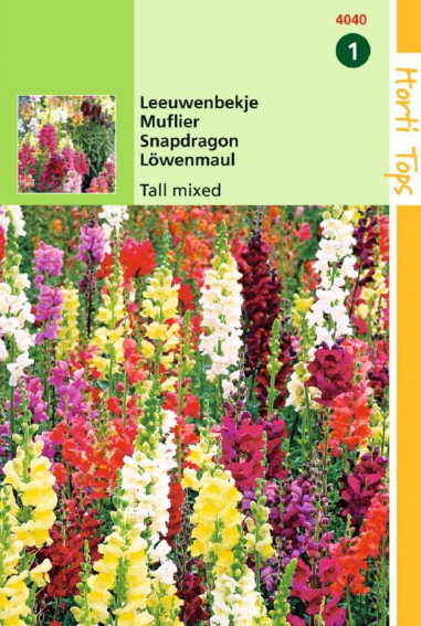 Snapdragon Tall (Antirrhinum) 3500 seeds